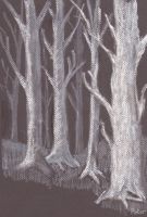 White Trees